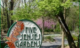 Garden of Five Senses or Five Senses Garden