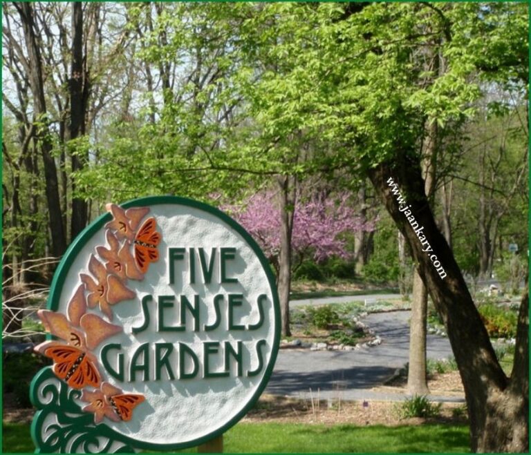 Read more about the article Garden of Five Senses or Five Senses Garden