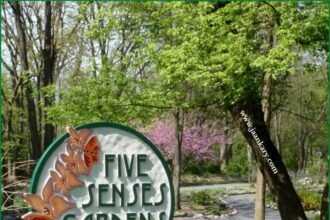 five senses garden of five senses ( jaankary.com )