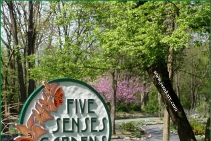 five senses garden of five senses ( jaankary.com )